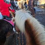 Bergkuss Brunnalm