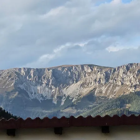 Bergkuss Brunnalm * Veitsch