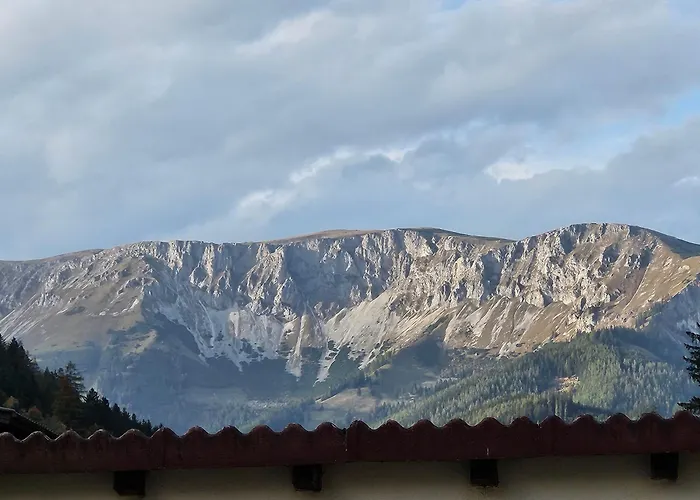 Bergkuss Brunnalm * Veitsch